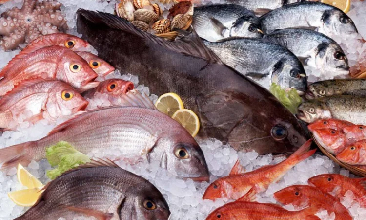 Рыба и море продукты - фото № 1