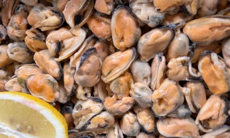 Продам Мідії мариновані в олії - фото № 1