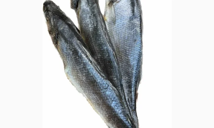 Риба ОПТ - фото № 1