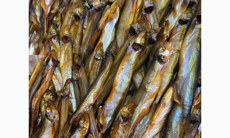 Риба ОПТ - фото № 2