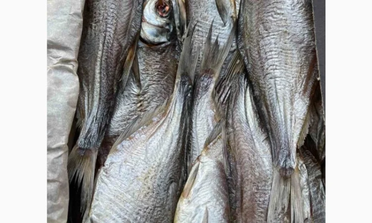 Риба ОПТ - фото № 5