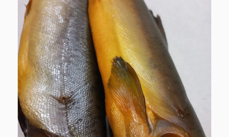 Риба ОПТ - фото № 7