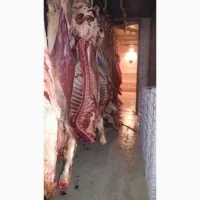 Покупатели баранины и говядины — живая, охлаждённая и замороженная - фото № 4