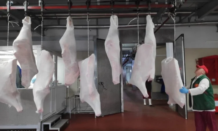 Купуємо баранину та яловичину живцем - фото № 8