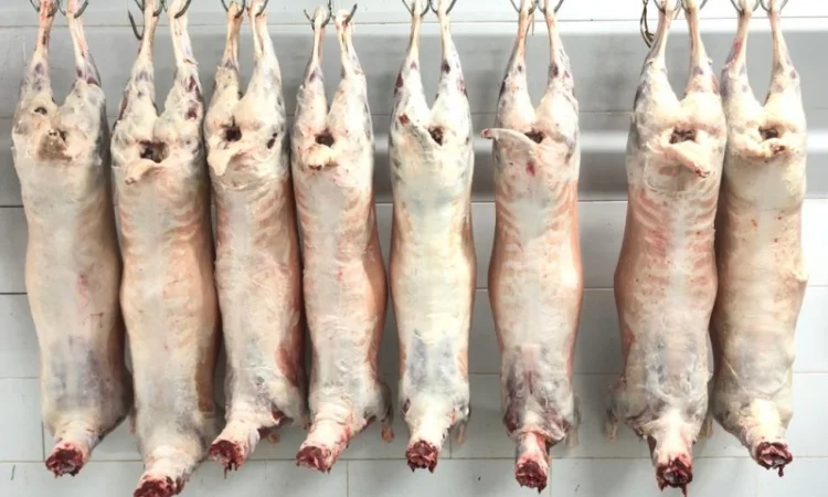 Есть покупатели полутуши баранов от производителя от 100 голов - фото № 3