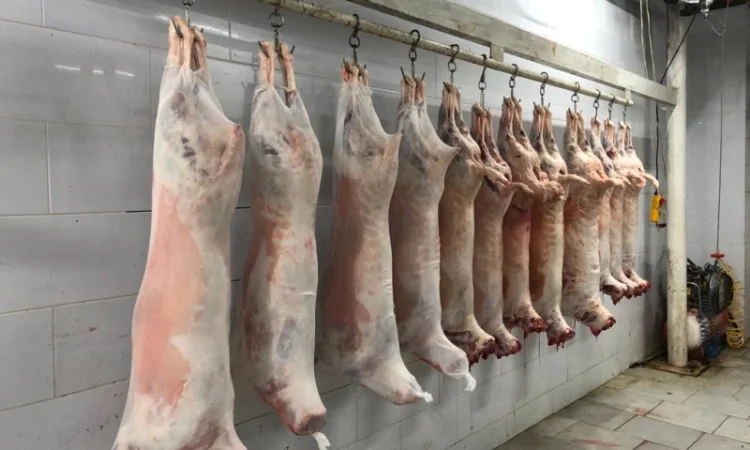 Есть покупатели полутуши баранов от производителя от 100 голов - фото № 4