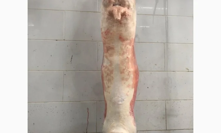 Купівля полутуші баранів від виробника від 100 голів - фото № 1