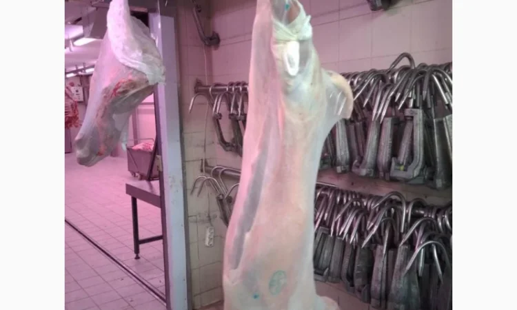 Купівля полутуші баранів від виробника від 100 голів - фото № 7