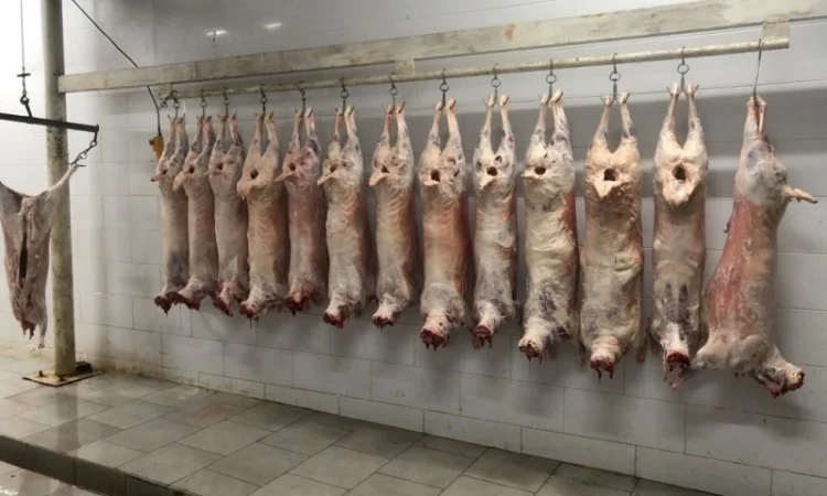 Есть покупатели полутуши баранов от производителя от 100 голов - фото № 1