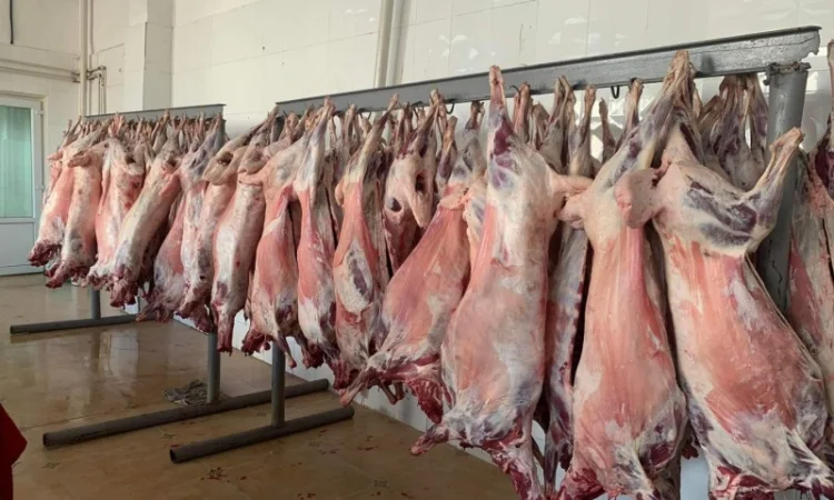 Баранина с Аккредитив на ОАИ - фото № 2