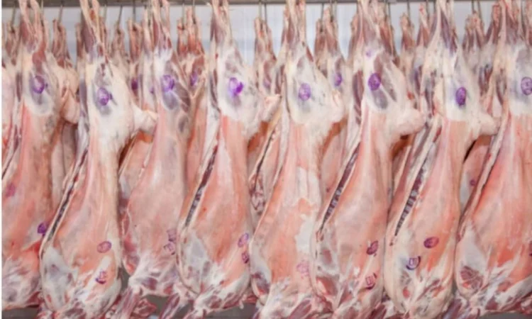 Баранина с Аккредитив на ОАИ - фото № 3