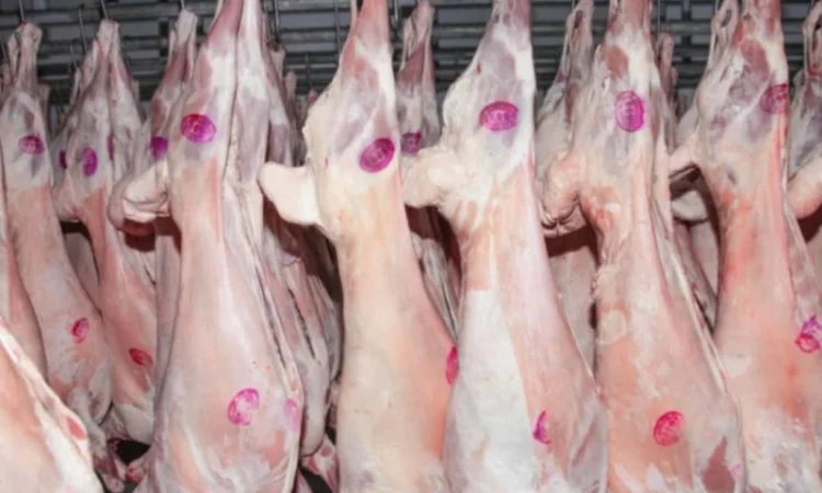 Баранина с аккредитив на Арабские Эмираты и Иран - фото № 1