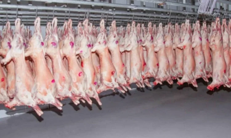 Баранина с аккредитив на Арабские Эмираты и Иран - фото № 2