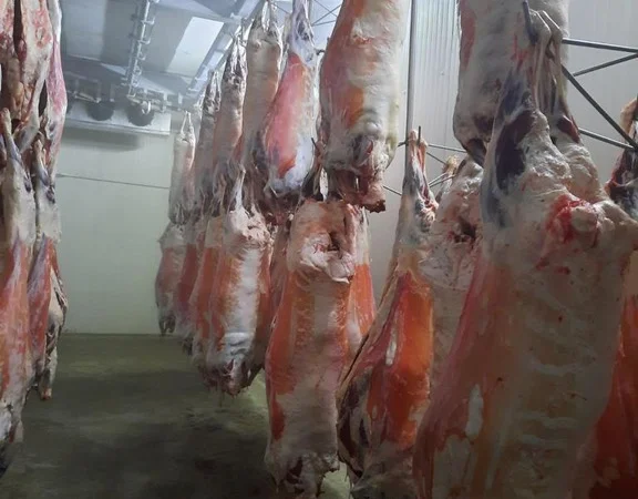 Баранина с аккредитив на Арабские Эмираты и Иран - фото № 4