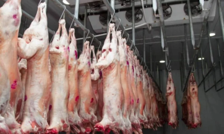 Баранина с аккредитив на Арабские Эмираты и Иран - фото № 6