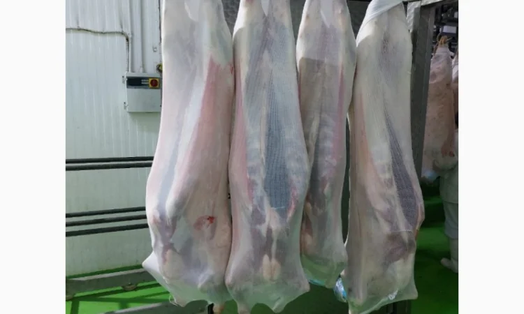 Баранина с аккредитив на Арабские Эмираты и Иран - фото № 7