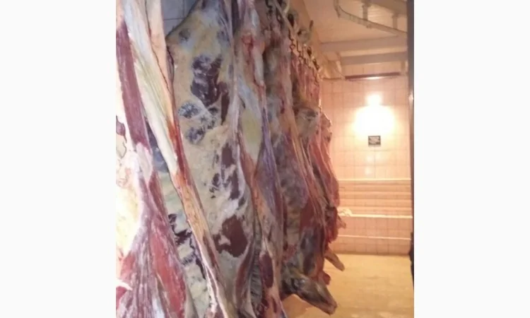 Продам говяжьи полутуши от производителя, объём от 20 тонн - фото № 1