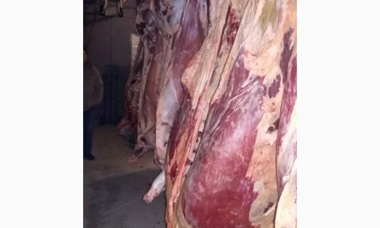 Продам говяжьи полутуши от производителя, объём от 20 тонн - фото № 2