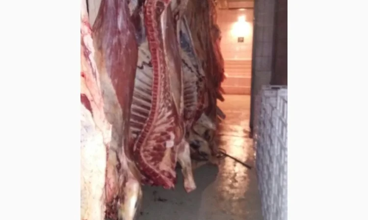 Продам говяжьи полутуши от производителя, объём от 20 тонн - фото № 4