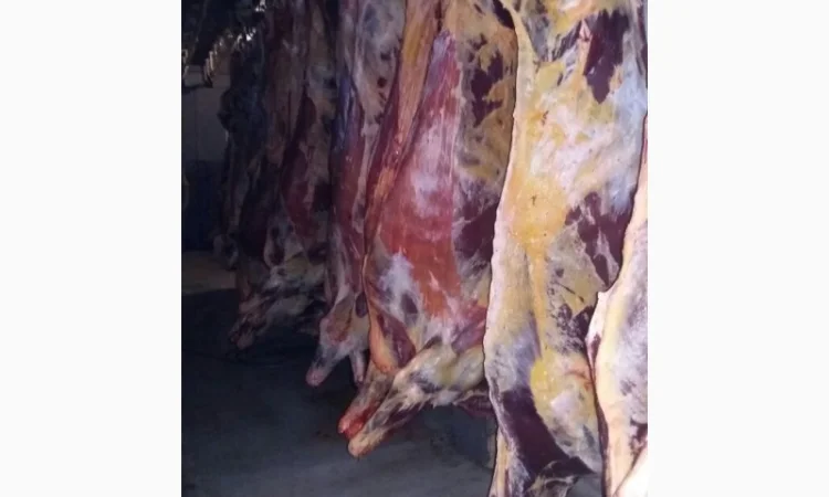 Продам говяжьи полутуши от производителя, объём от 20 тонн - фото № 5