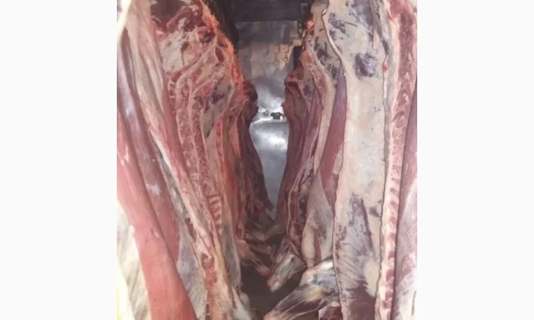 Продам говяжьи полутуши от производителя, объём от 20 тонн - фото № 6