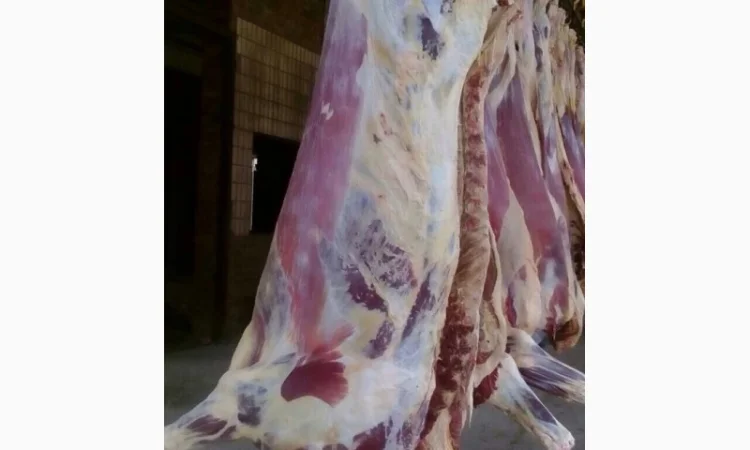 Продам говяжьи полу туши - фото № 9