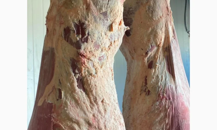 Продам говядину полу туши и на кости от производителя с 20 тонн. Кроме Европы - фото № 1