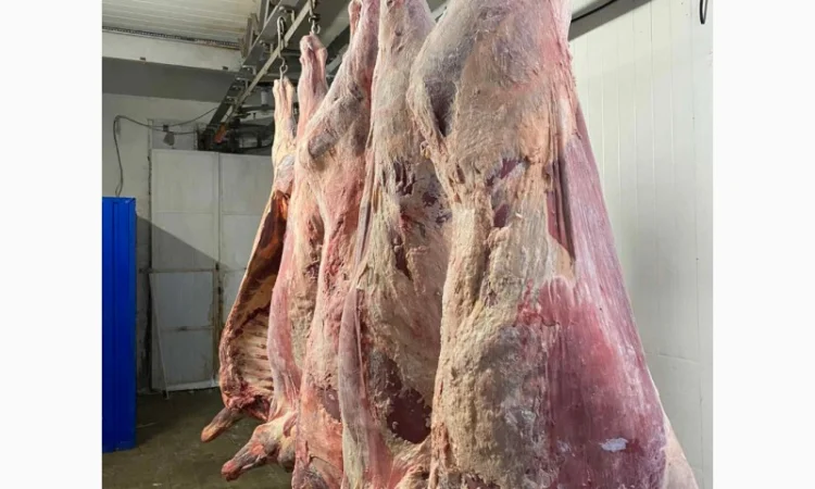 Продам говядину полу туши и на кости от производителя с 20 тонн. Кроме Европы - фото № 4