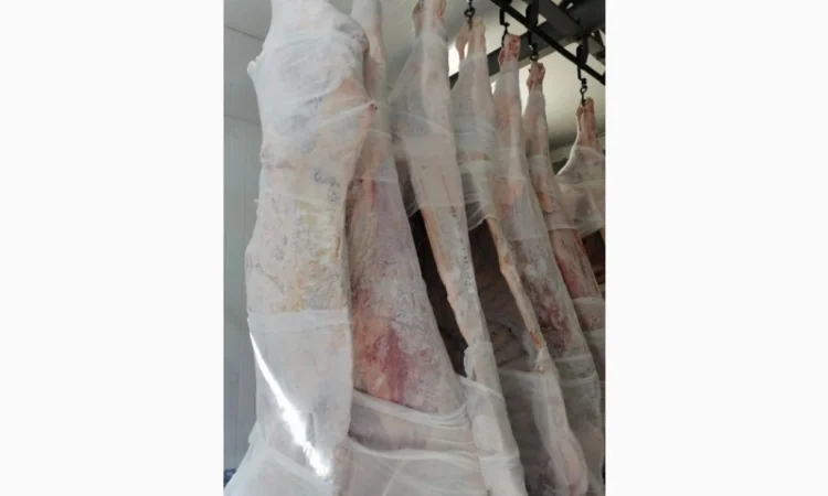 Продам говядину полу туши и на кости от производителя с 20 тонн. Кроме Европы - фото № 5