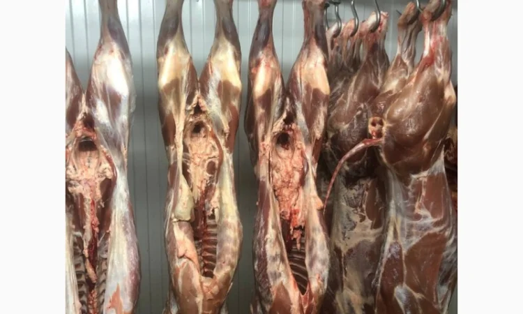 Телятина - фото № 1