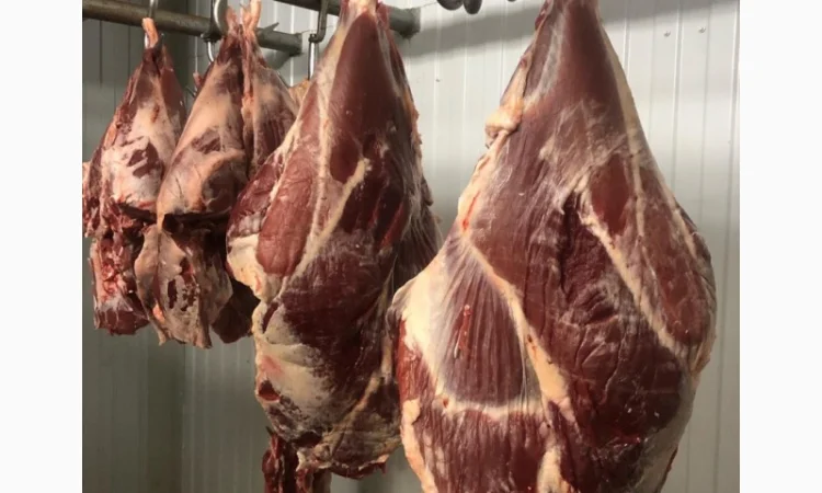 Телятина - фото № 2