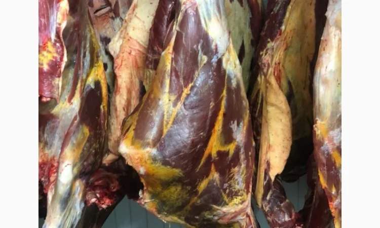 Яловичина, м’ясо яловичини, туші яловичини - фото № 2