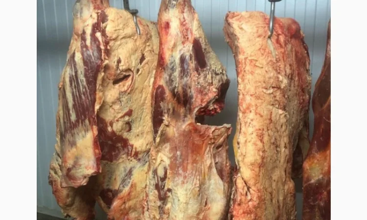 Яловичина, м’ясо яловичини, туші яловичини - фото № 4