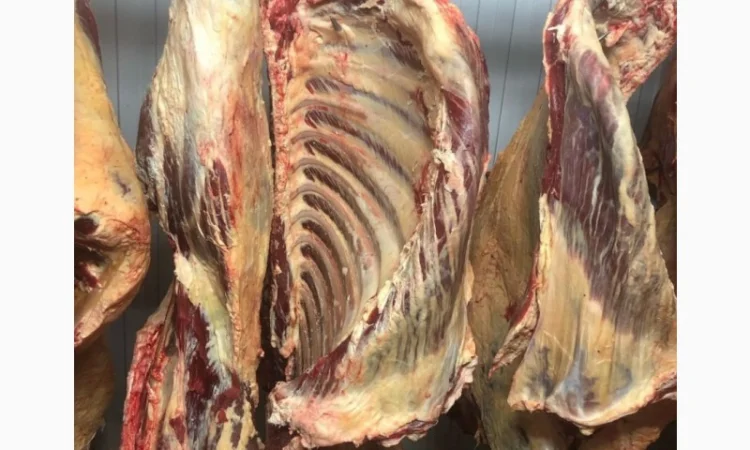 Яловичина, м’ясо яловичини, туші яловичини - фото № 5