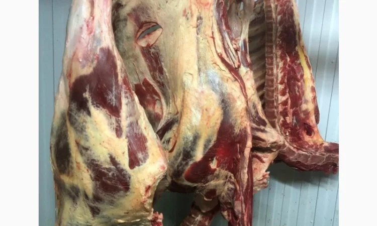 Яловичина, м’ясо яловичини, туші яловичини - фото № 6