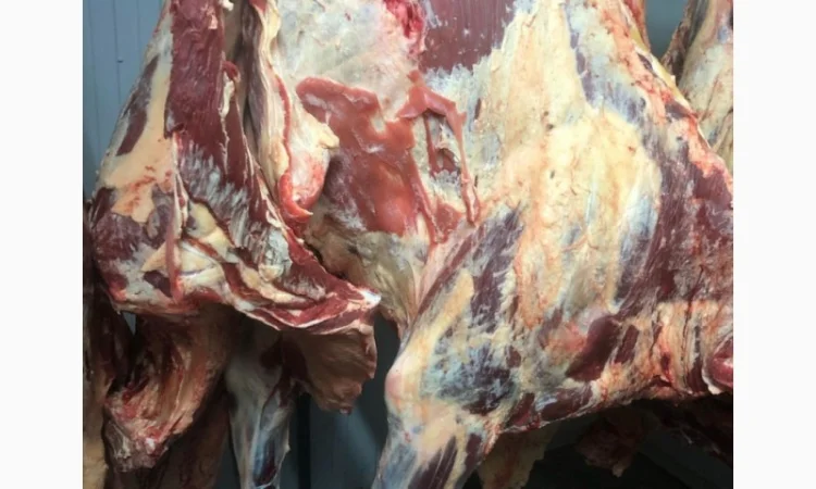 Яловичина, м’ясо яловичини, туші яловичини - фото № 7