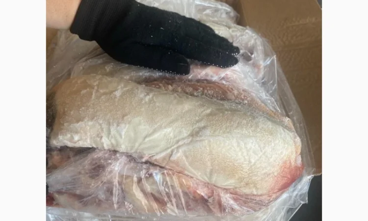 Продам яловичий язик — заморожений делікатес - фото № 2