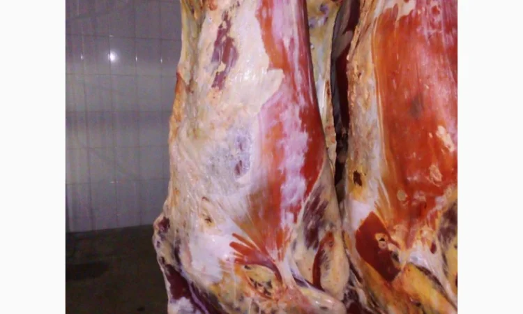 Продам на экспорт полутуши говядины. От производителя с 20 тонн Кроме Европи - фото № 4