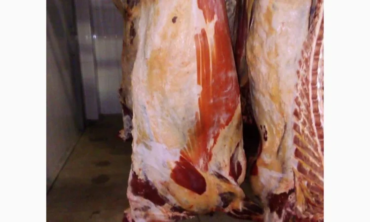 Продам на экспорт полутуши говядины. От производителя с 20 тонн Кроме Европи - фото № 5