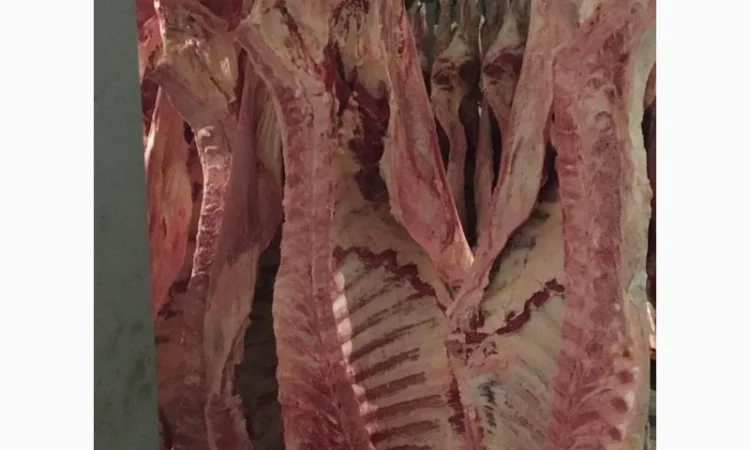 Продам на экспорт полутуши говядины. От производителя с 20 тонн Кроме Европи - фото № 6