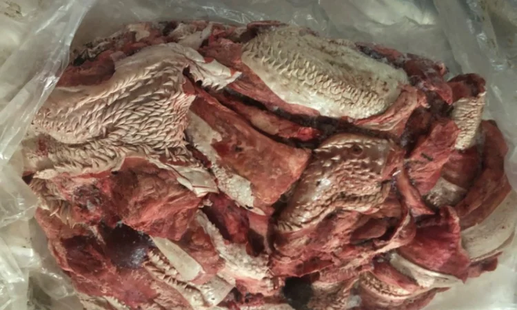 Стравохід - фото № 1