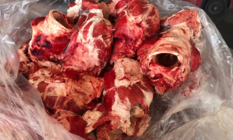 Стравохід - фото № 2