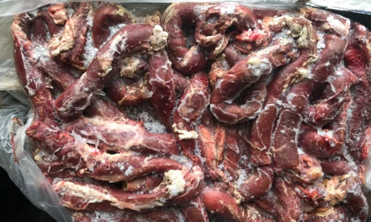 Стравохід - фото № 3