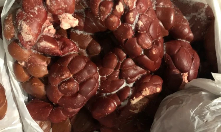 Серце ялове - фото № 1