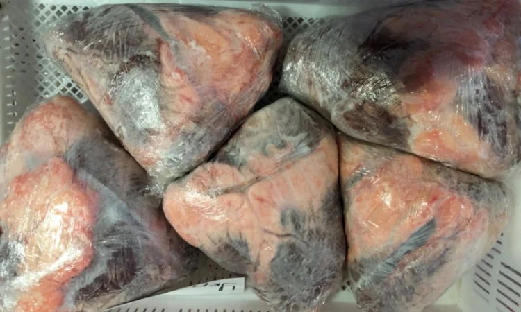 Серце ялове - фото № 2