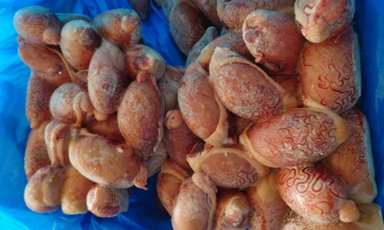 Заморожені яйця бичачі (сім'яники) від здорових тварин - фото № 1