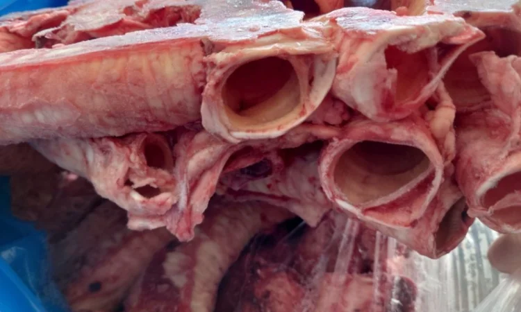 Трахея яловича, ретельно очищена - фото № 1