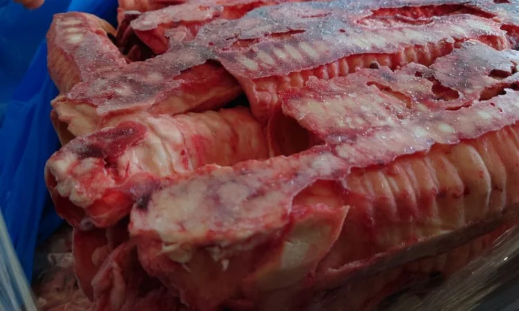 Трахея яловича, ретельно очищена - фото № 2