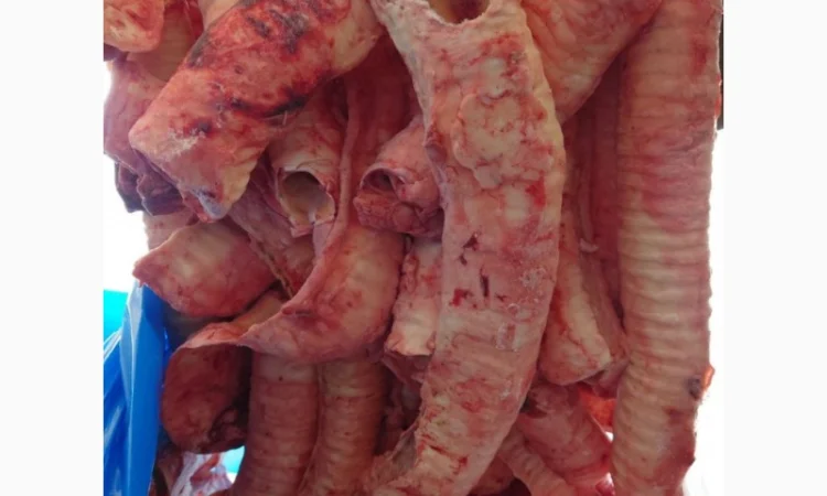 Трахея яловича, ретельно очищена - фото № 3