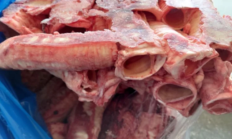 Трахея яловича, ретельно очищена - фото № 4